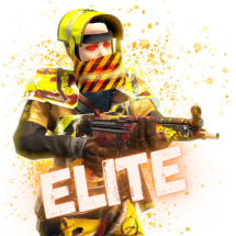 Elite (365 days)